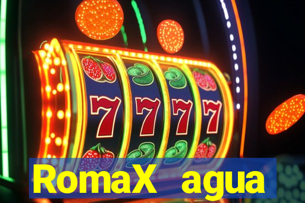 RomaX agua sanitaria fispq agua sanitaria romax